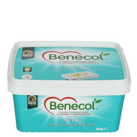 Μινέρβα Benecol Λευκό σε Άλμη 300gr